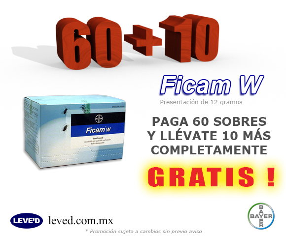 Promoción 1